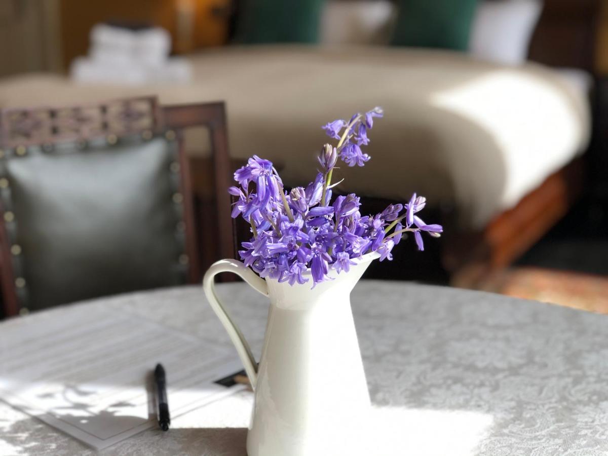 Lissanisky House Bed & Breakfast Ballymackey Luaran gambar